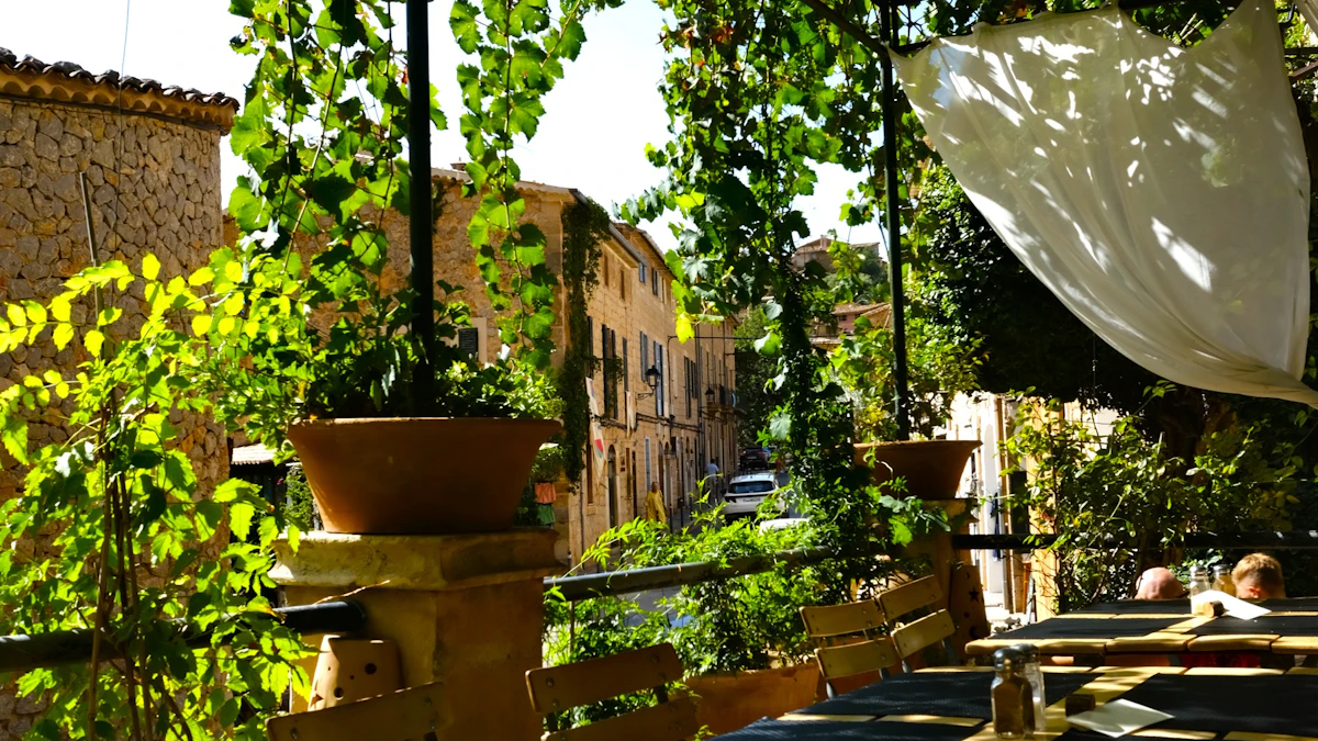 Terrasse de restaurant ensoleillée en été